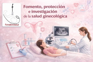 FORMACIÓN FETALGINSALUD